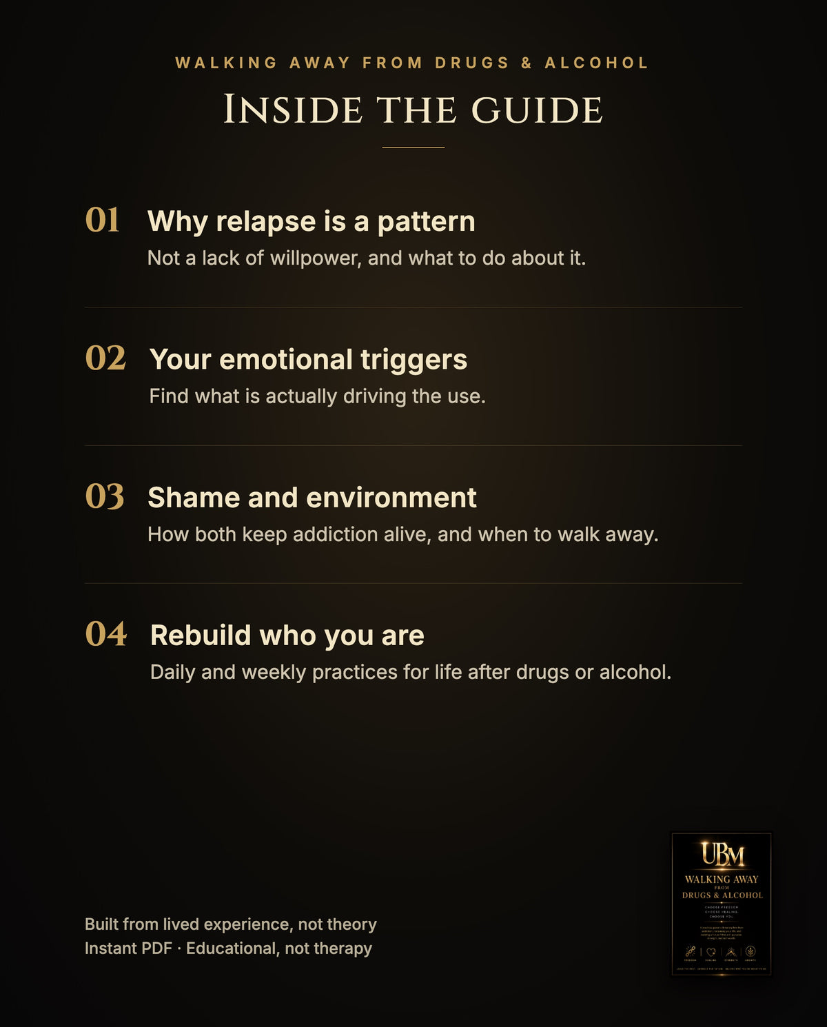 Inside the guide: why relapse is a pattern, your emotional triggers, shame and environment, and rebuilding who you are