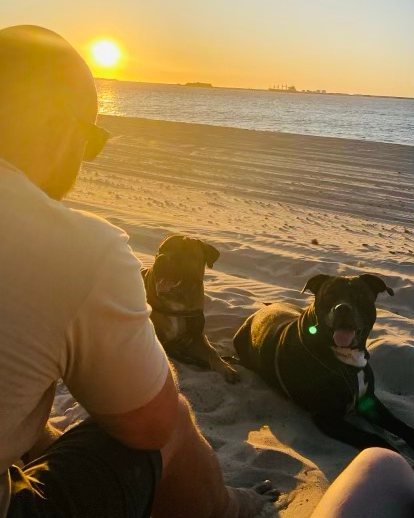 Sitting on a beach at sunset, seen from behind, with two dogs lying on the sand.